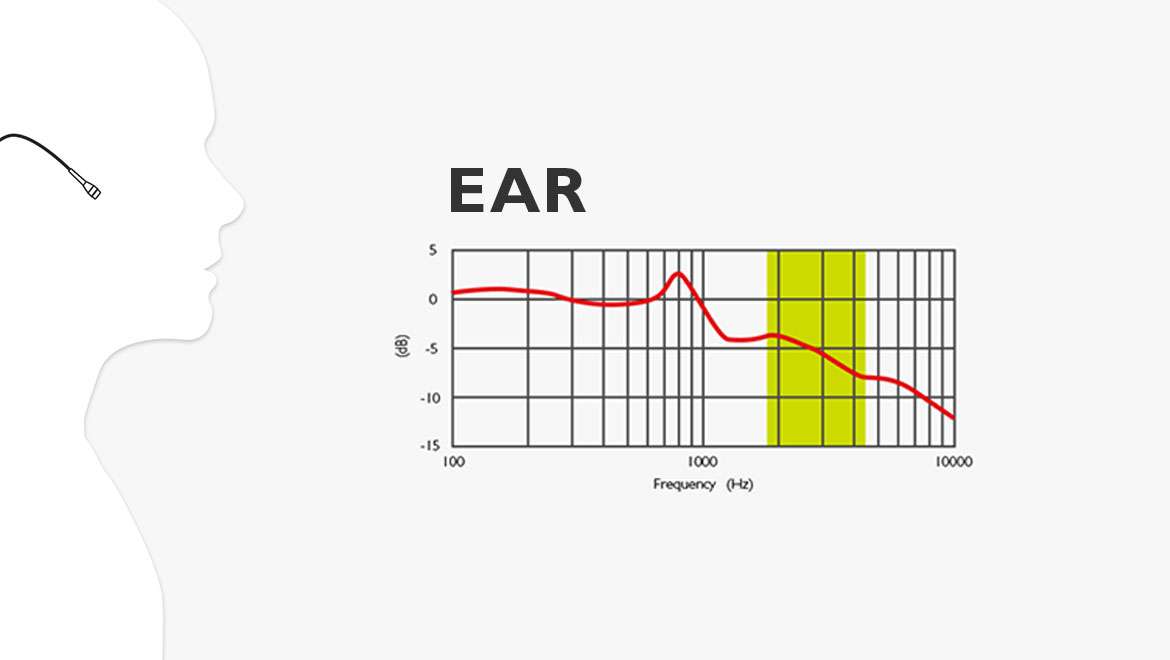 Ohr / © dpamicrophones.de