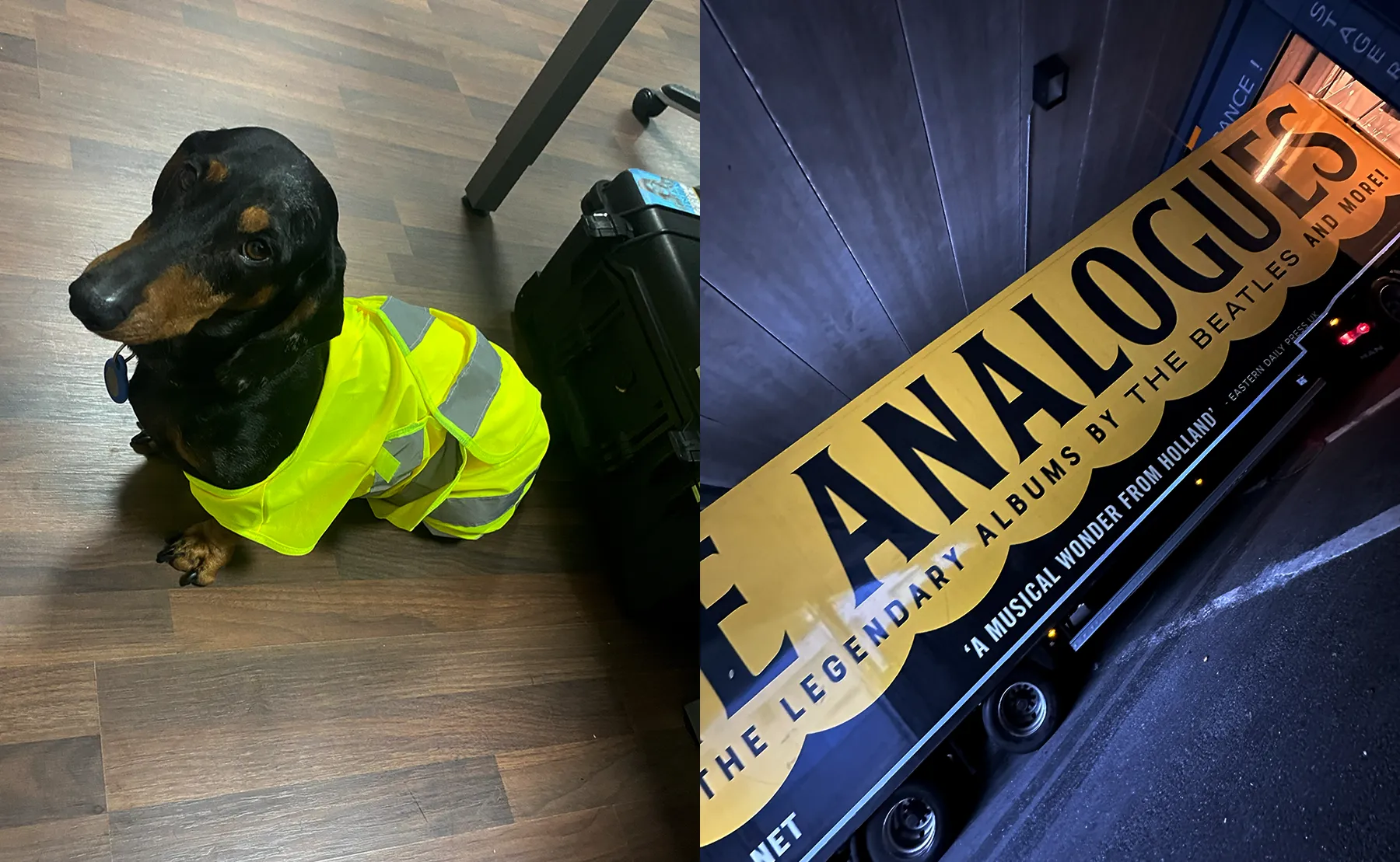 Links: Teil des örtlichen Teams / Rechts: Das Riesen-Equipment der Analogues © Geisterfamilie